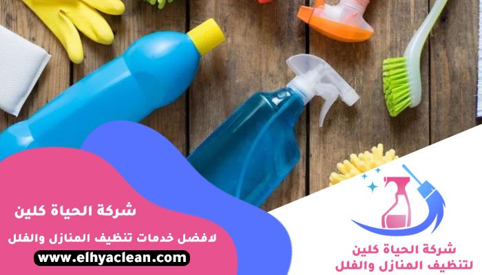 شركة تنظيف في العقة