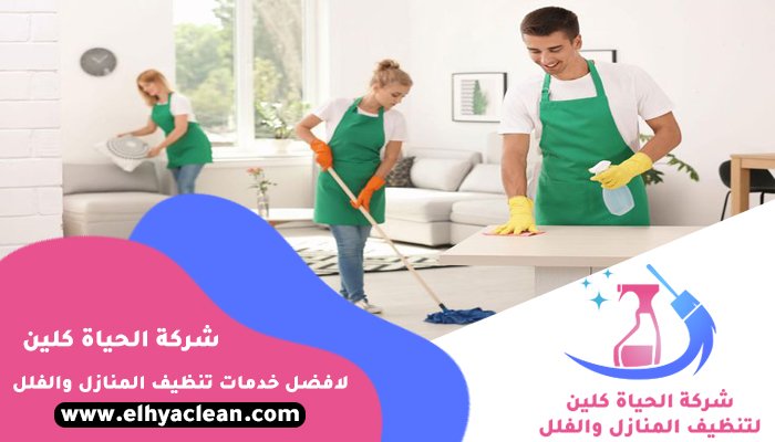 شركة تنظيف في ثيب
