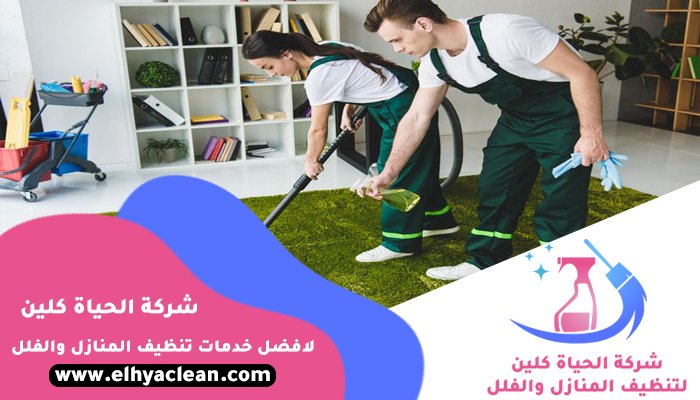 شركة تنظيف في رملة