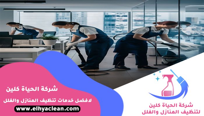 شركة تنظيف في رملة