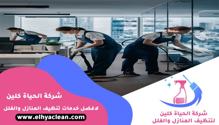 شركة تنظيف في سكمكم 4 شركة تنظيف في سكمكم