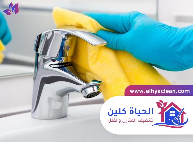 شركة تنظيف في القرية 3 شركة تنظيف في القرية