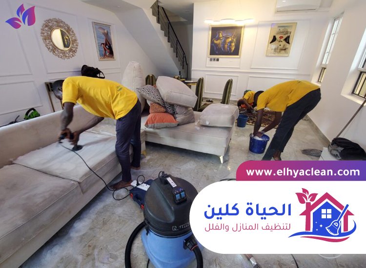 شركة تنظيف في عجمان 4 شركة تنظيف في عجمان