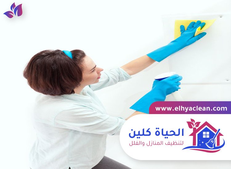 شركة تنظيف حوائط في الشارقة
