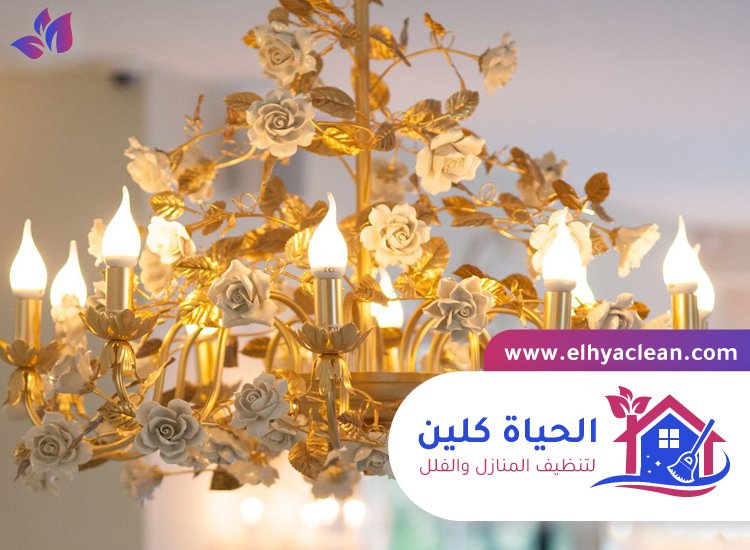 شركة تنظيف نجف