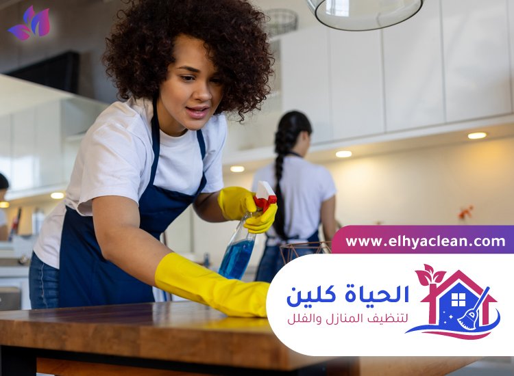 شركة تنظيف