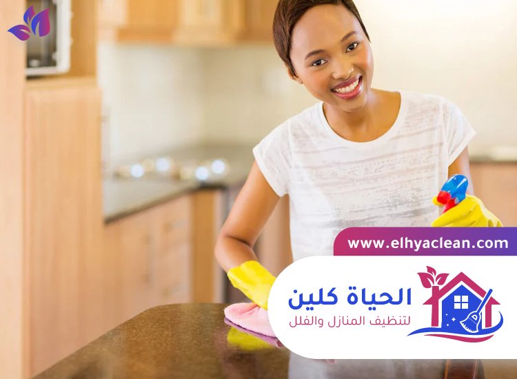 شركة تنظيف في ثيب 3 شركة تنظيف في ثيب