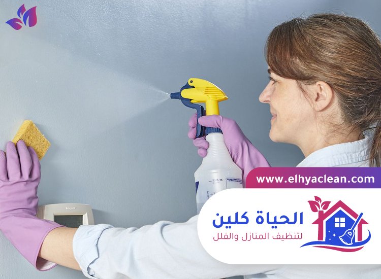 شركة تنظيف حوائط في دبي 4 شركة تنظيف حوائط في دبي