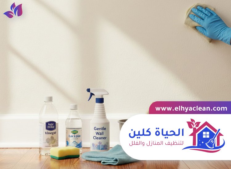 شركة تنظيف حوائط في الفجيرة 3 شركة تنظيف حوائط في الفجيرة