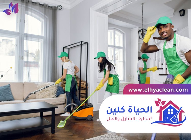 شركة تنظيف في القوع 3 شركة تنظيف في القوع