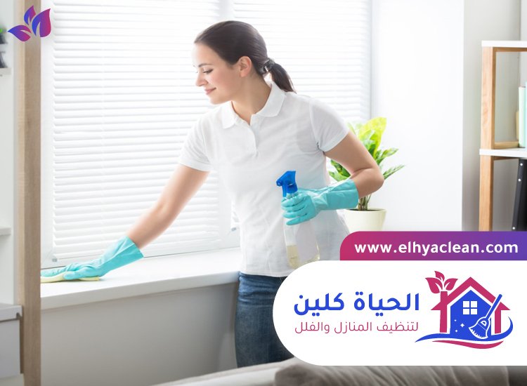 شركة تنظيف في البليدة 4 شركة تنظيف في البليدة