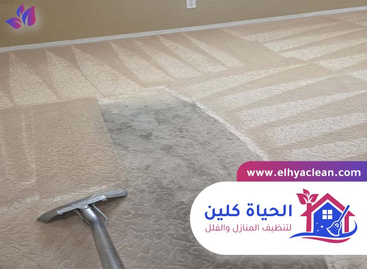 شركة تنظيف سجاد دبي 8 شركة تنظيف سجاد دبي