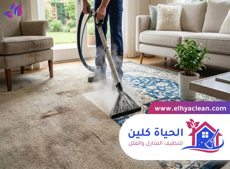شركة تنظيف سجاد في الفجيرة 6 شركة تنظيف سجاد في الفجيرة