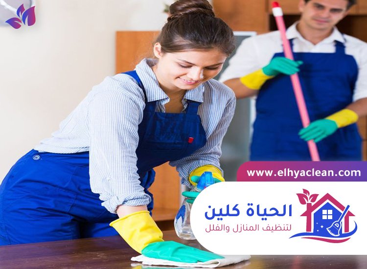 شركة تنظيف