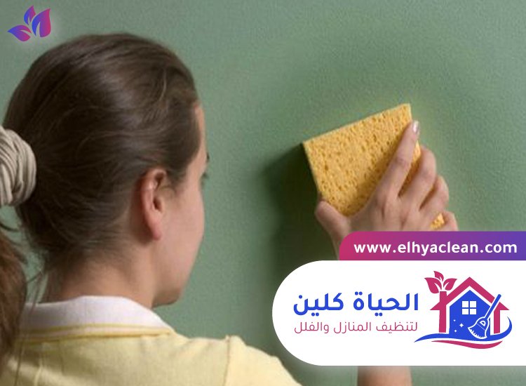 شركة تنظيف حوائط في الشارقة 2 شركة تنظيف حوائط في الشارقة