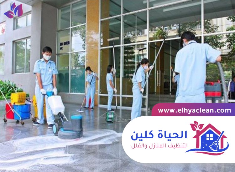 شركة تنظيف احواش في الفجيرة 2 شركة تنظيف احواش في الفجيرة