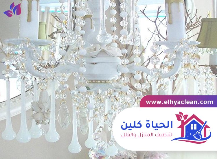 شركة تنظيف نجف في الفجيرة 2 شركة تنظيف نجف في الفجيرة