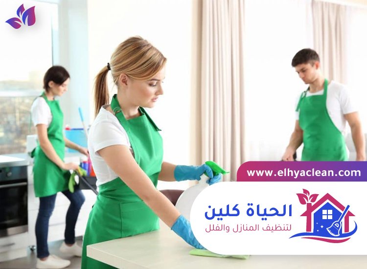 شركة تنظيف