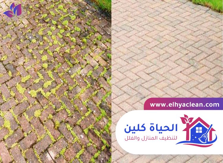 شركة تنظيف احواش