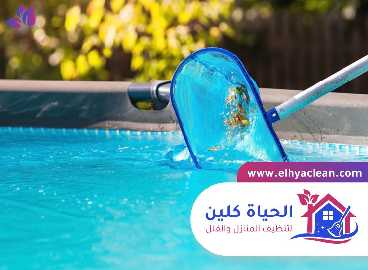 شركة تنظيف مسابح في الفجيرة 2 شركة تنظيف مسابح في الفجيرة