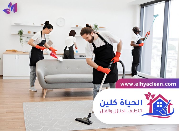 شركة تنظيف في صفد 2 شركة تنظيف في صفد