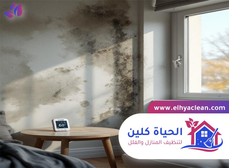 تنظيف الحائط من الحريق دبي 3 تنظيف الحائط من الحريق دبي