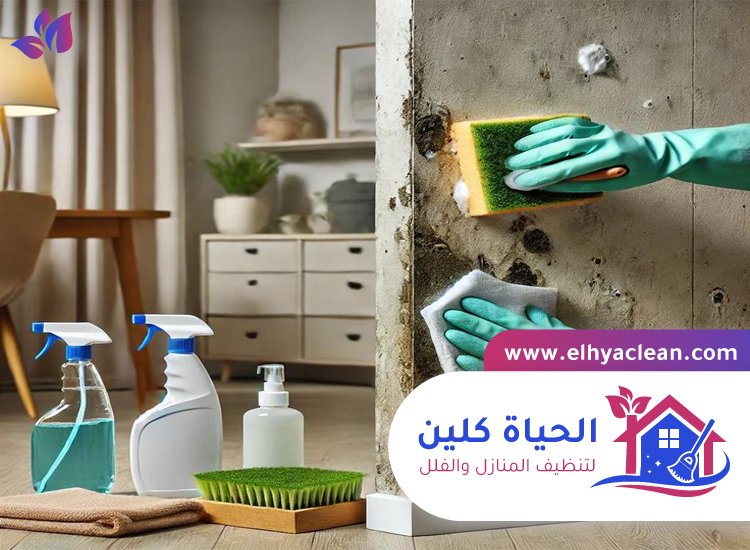 تنظيف الحائط من الحريق