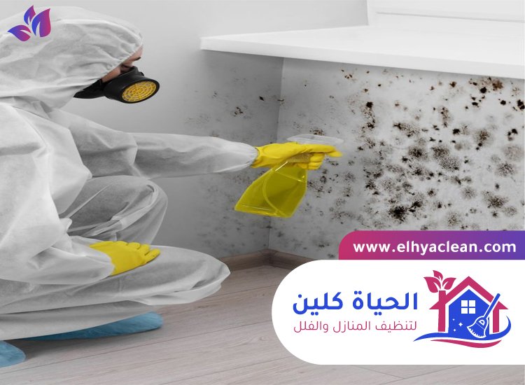 تنظيف الحائط من الحريق دبي 4 تنظيف الحائط من الحريق دبي