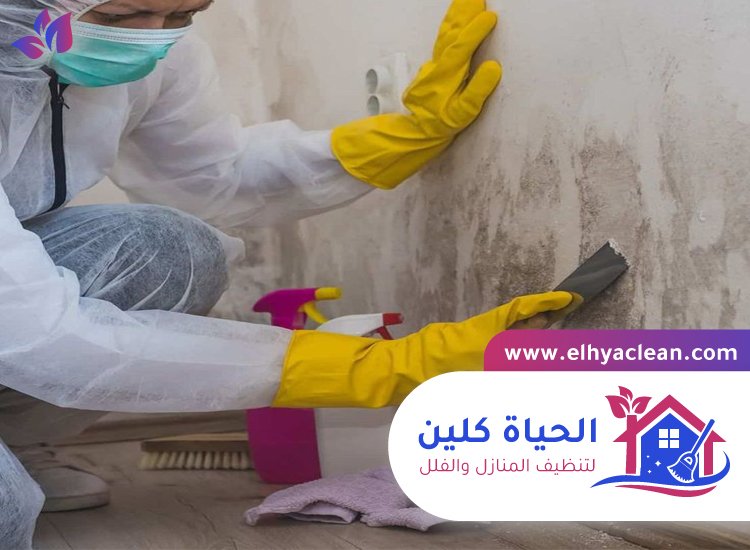 تنظيف الحائط من الحريق دبي 2 تنظيف الحائط من الحريق دبي