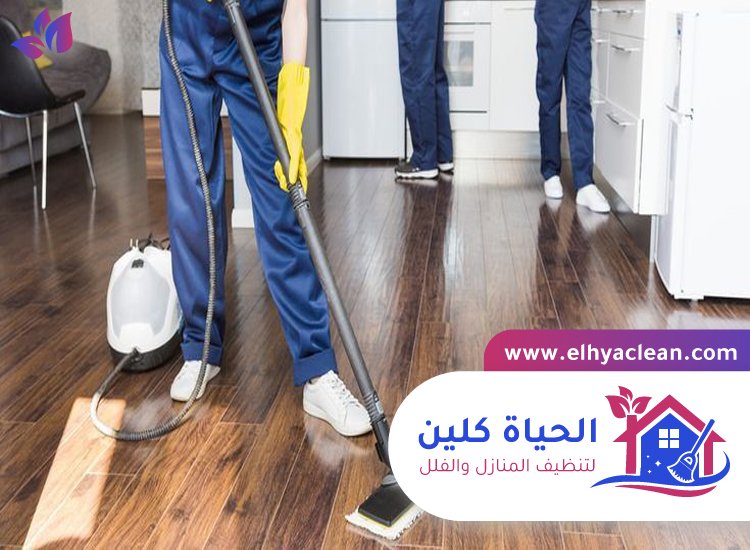 خادمات بالساعة