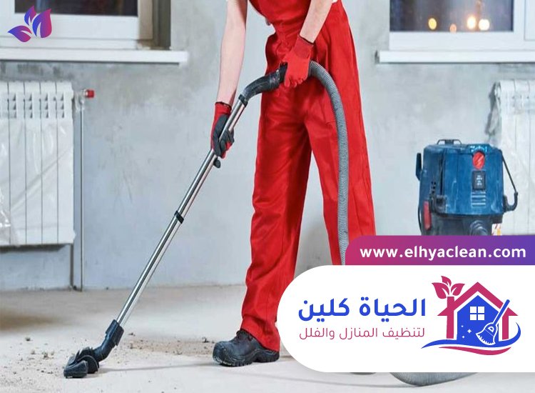 خادمات بالساعة