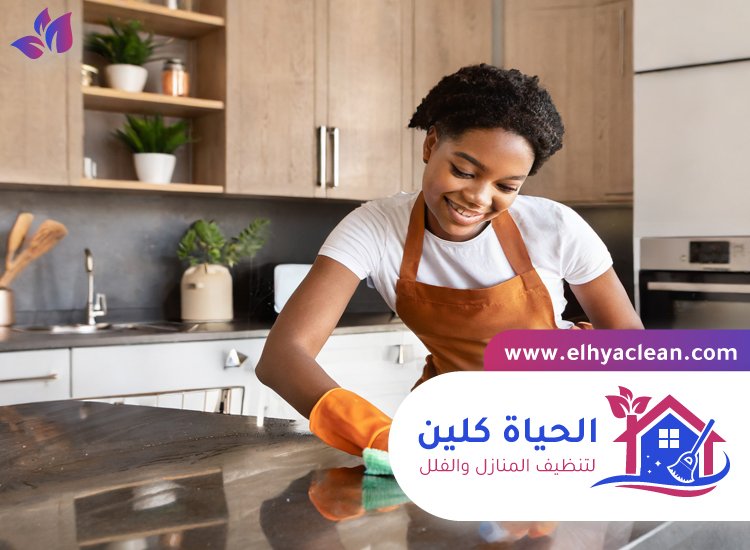شركة تنظيف في لهباب 2 شركة تنظيف