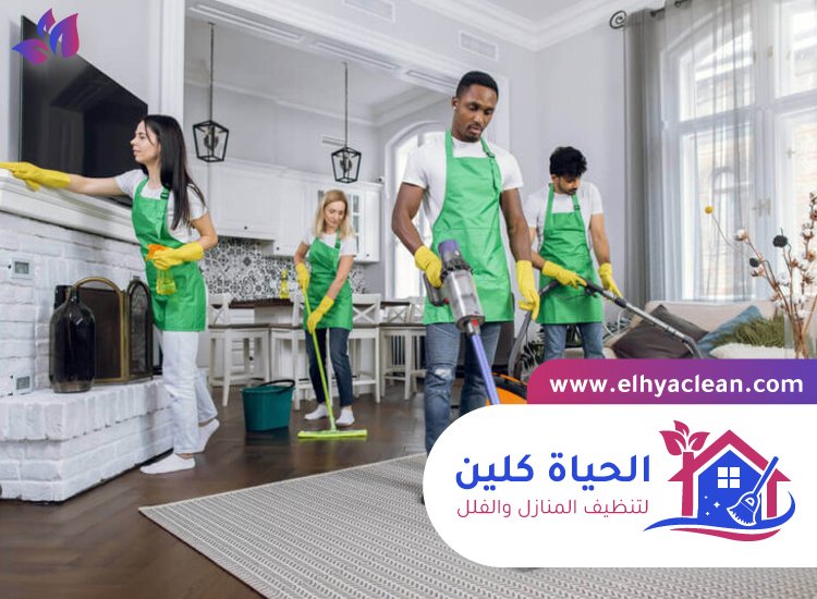 شركة تنظيف في لهباب 3 شركة تنظيف في لهباب
