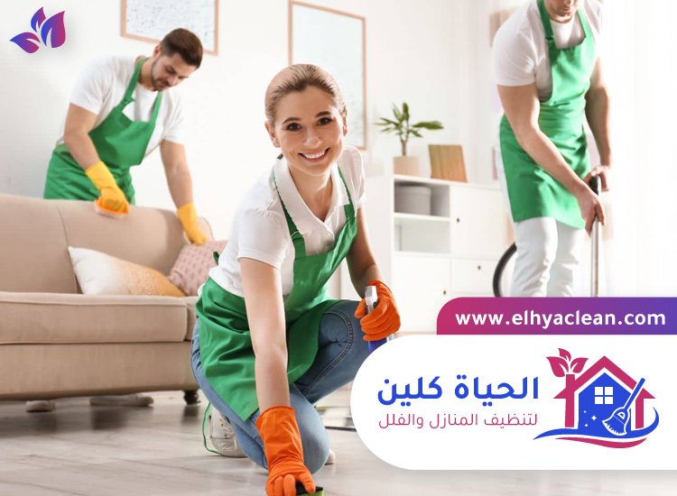 شركة تنظيف في لهباب 4 شركة تنظيف في لهباب