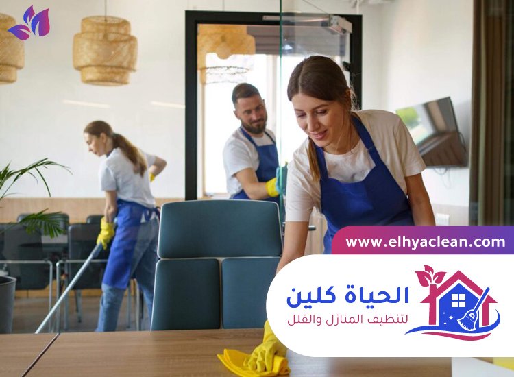 شركة تنظيف في الرمثاء 4 شركة تنظيف في الرمثاء