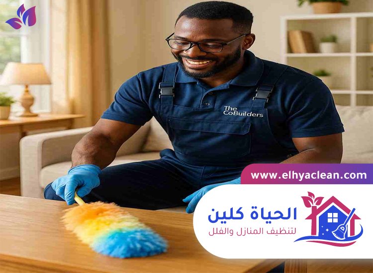 شركة تنظيف منازل