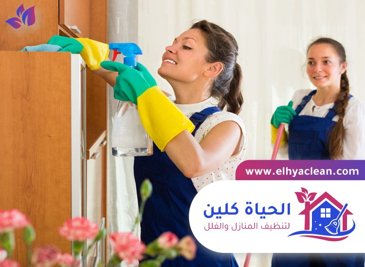 شركة تنظيف في القوع 2 شركة تنظيف في القوع