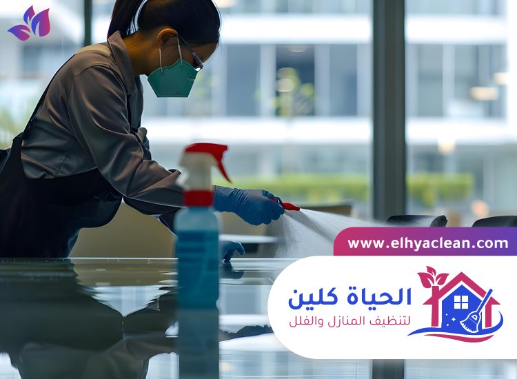 شركة تنظيف في العقة 3 شركة تنظيف في العقة