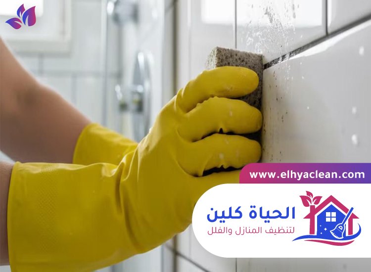 شركة تنظيف حوائط في دبي 5 شركة تنظيف حوائط في دبي