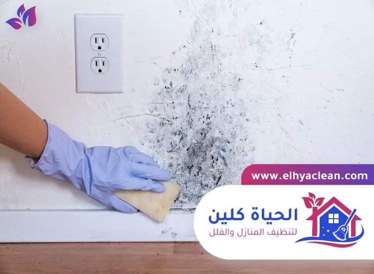 شركة تنظيف حوائط في عجمان 2 شركة تنظيف حوائط