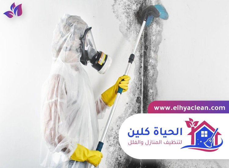 شركة تنظيف حوائط في عجمان 4 شركة تنظيف حوائط في عجمان