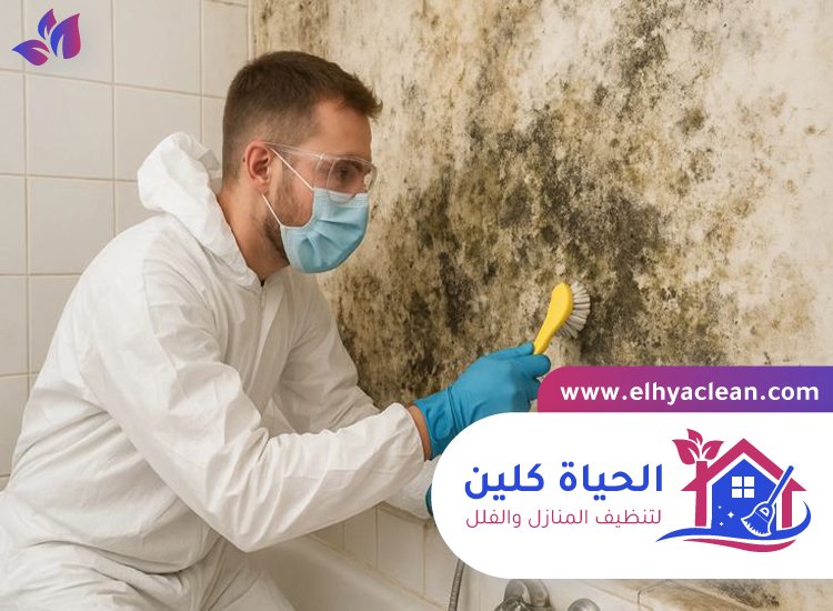 شركة تنظيف حوائط