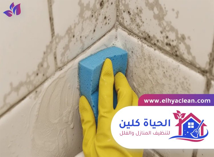 شركة تنظيف حوائط في دبي 4 شركة تنظيف حوائط في دبي