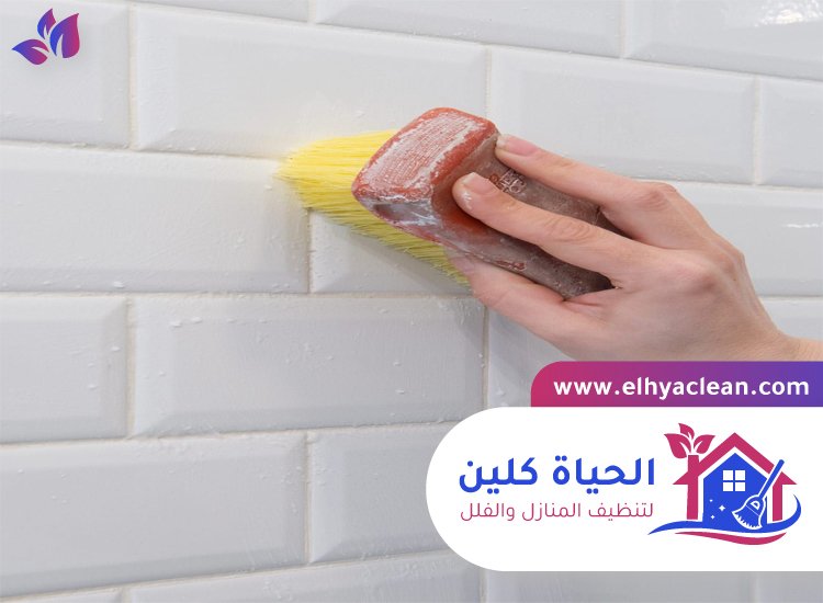 شركة تنظيف حوائط في الفجيرة 5 شركة تنظيف حوائط في الفجيرة