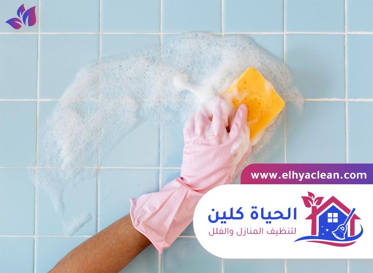 شركة تنظيف حوائط في الفجيرة 4 شركة تنظيف حوائط في الفجيرة