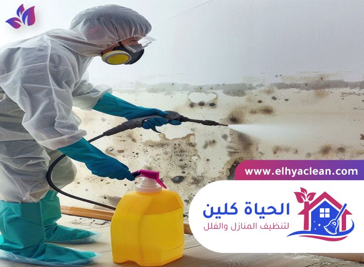 شركة تنظيف حوائط في ابوظبي 4 شركة تنظيف حوائط في ابوظبي