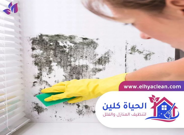 شركة تنظيف حوائط في ابوظبي 3 شركة تنظيف حوائط في ابوظبي