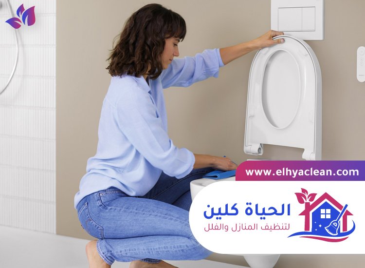 شركة تنظيف في الصفا 2 شركة تنظيف