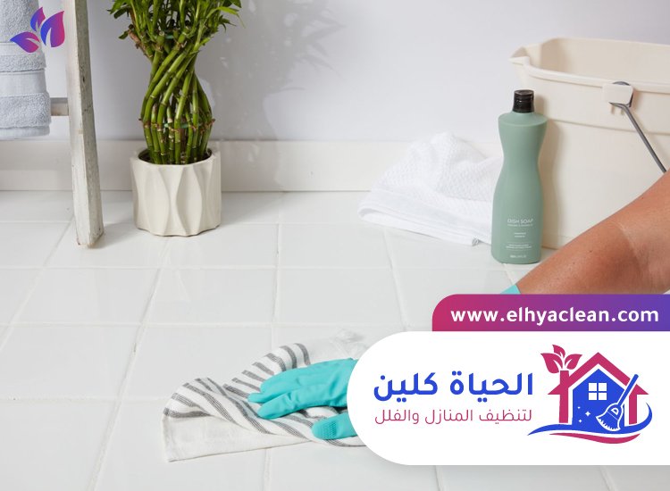 شركة تنظيف في صفد 2 شركة تنظيف