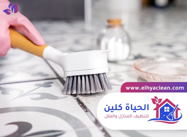 شركة تنظيف في القوع 2 شركة تنظيف